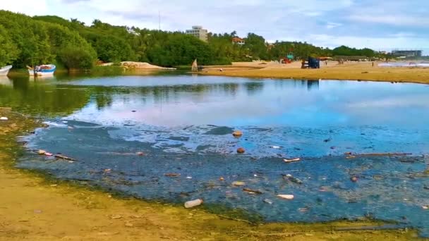 Dirty Green Polluted Garbage River Zicatela Puerto Escondido Oaxaca Mexico — Stockvideo
