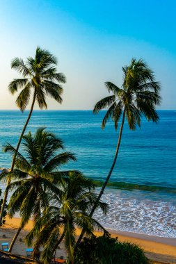 Mirissa Sahili 'nin güneyindeki Sri Lanka Plajı' nda palmiye ağaçları dalgaları ve deniz manzaralı güzel tropik bir sahil..