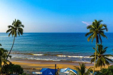 Mirissa Sahili 'nin güneyindeki Sri Lanka Plajı' nda palmiye ağaçları dalgaları ve deniz manzaralı güzel tropik bir sahil..