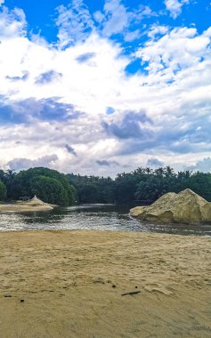 Green beautiful tropical river Freshwater Lagoon in Zicatela Puerto Escondido Oaxaca Mexico.