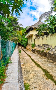 Zicatela Puerto Escondido Oaxaca Meksika 'daki tropikal ormanlarda açık kanalizasyon sistemi..
