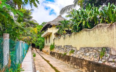 Zicatela Puerto Escondido Oaxaca Meksika 'daki tropikal ormanlarda açık kanalizasyon sistemi..