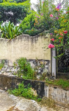 Zicatela Puerto Escondido Oaxaca Meksika 'daki tropikal ormanlarda açık kanalizasyon sistemi..