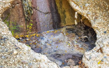 Zicatela Puerto Escondido Oaxaca Meksika 'daki tropikal ormanlarda açık kanalizasyon sistemi..