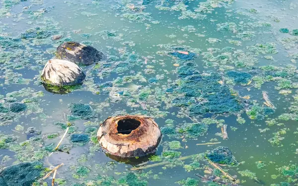 Dirty Green Polluted Garbage River Zicatela Puerto Escondido Oaxaca Mexico — Fotografia de Stock