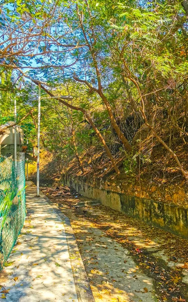 Відкрита Каналізація Тропічних Джунглях Відповідає Горам Зікселі Пуерто Ескондідо Оахака — стокове фото