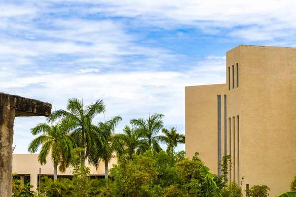 Playa del Carmen Quintana Roo Meksika 'da palmiye ağaçları olan tropikal cennette modern binalar ve mimari oteller tatil beldeleri ve daireler.