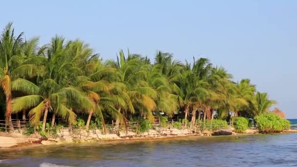Paisaje Tropical Playa Caribeña Mexicana Con Agua Azul Turquesa Clara — Vídeo de stock
