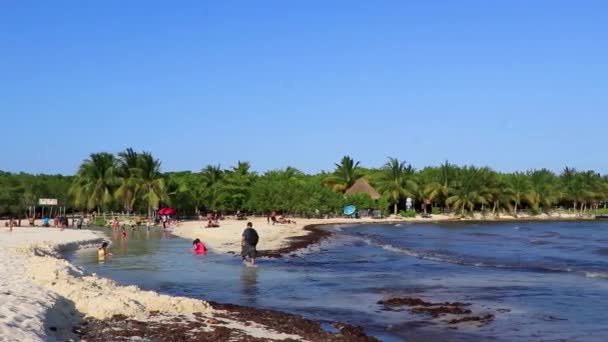 Playa Del Carmen Quintana Roo Mexico Mei 2023 Toeristisch Caribisch — Stockvideo