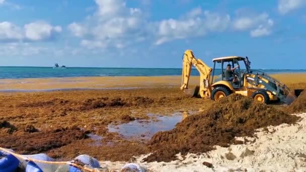Playa Del Carmen Quintana Roo Mexico Maj 2023 Gravemaskine Grave – Stock-video
