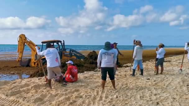 Playa Del Carmen Quintana Roo墨西哥2023年5月挖掘机在美丽的加勒比海海滩挖掘海草 彻底污染了恶劣的海藻沙加佐问题 — 图库视频影像