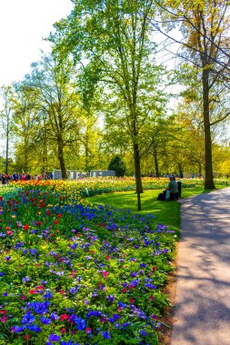 Lisse Hollanda 20 numara. Nisan 2014 Lisse Güney Hollanda 'daki Keukenhof lale parkında kırmızı turuncu laleler çiçekler ve nergisler