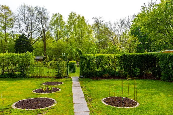 Ogród Okrągłe Łóżka Gleby Młodych Kiełków Roślin Leherheide Bremerhaven Brema — Zdjęcie stockowe