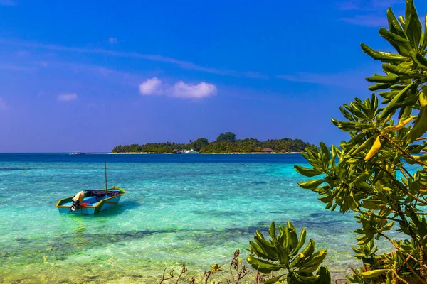 Paradiso Tropicale Isola Kuramathi Una Vacanza Lusso Con Palme Sabbia — Foto Stock
