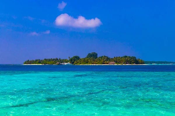 Tropikalny Raj Wyspa Kuramathi Dla Luksusowych Wakacji Palmami Biały Piasek — Zdjęcie stockowe