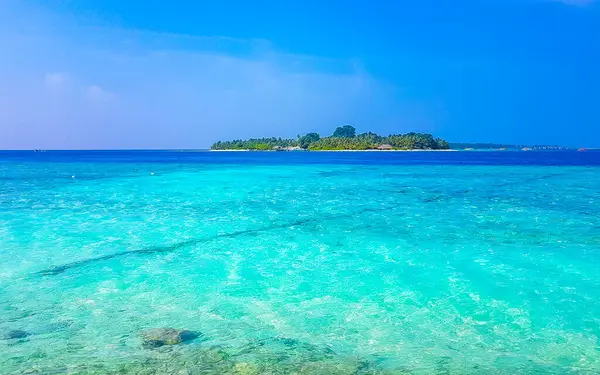 Paradiso Tropicale Isola Kuramathi Una Vacanza Lusso Con Palme Sabbia — Foto Stock