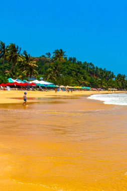 Mirissa Sahili 'nin güneyindeki Sri Lanka Plajı' nda palmiye ağaçları dalgaları ve deniz manzaralı güzel tropik bir sahil..