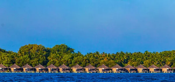 Тропічний Райський Острів Кураматі Розкішного Відпочинку Пальмами Білий Пісок Бірюзові — стокове фото
