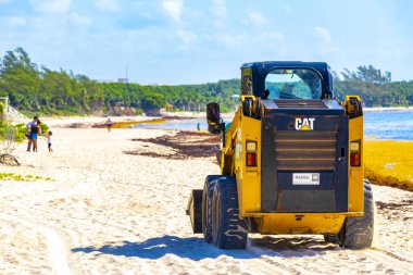 Playa del Carmen Quintana Roo Meksika 05. Ağustos 2021 Kazıcı, güzel Karayipler sahilinde deniz yosunu bulmak için kumu ve denizi kazıyor..