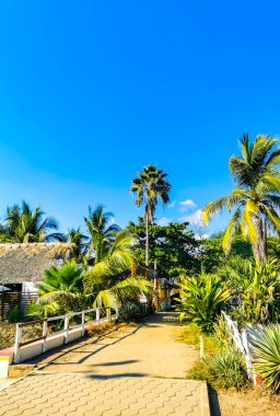 Puerto Escondido Oaxaca Meksika 14. Aralık 2022 Tipik güzel turist caddesi yolu ve şehir arabalarıyla kaldırım oteller, restoranlar ve Zicatela Mexico 'daki insanlar..