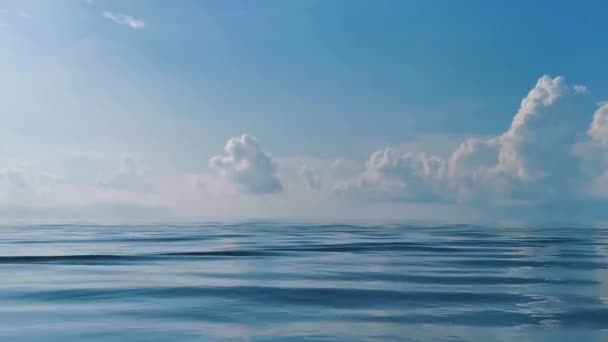 Passeio Barco Cancun Island Mujeres Isla Excursão Tubarão Contoy Baleia — Vídeo de Stock