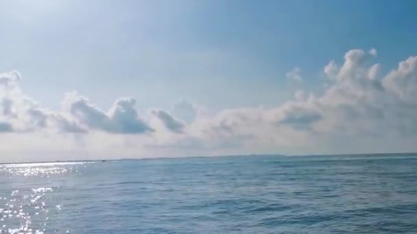 Тур Лодке Канкуна Остров Мухерес Исла Контой Тур Акулами Вале — стоковое видео