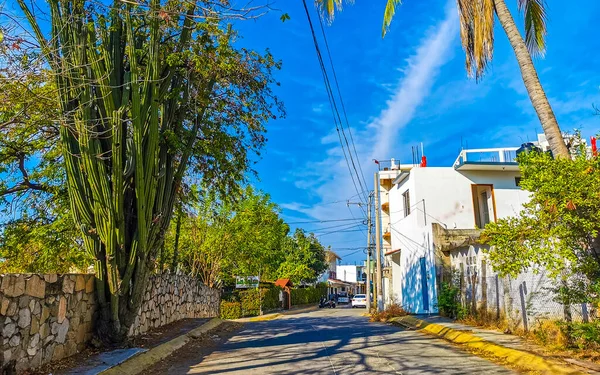 Puerto Escondido Oaxaca Meksika 20. Ocak 2023 Tipik güzel turist caddesi yolu ve şehir arabalarıyla kaldırım oteller, restoranlar ve Zicatela Mexico 'daki insanlar..