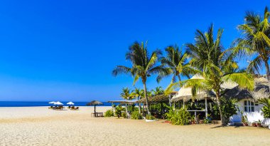 Palmiye ağaçları, şemsiyeler ve güneş şemsiyeleri Zicatela Puerto Escondido Oaxaca Meksika 'daki tropik Meksika plajındaki sahil tatil beldesi otelinde..