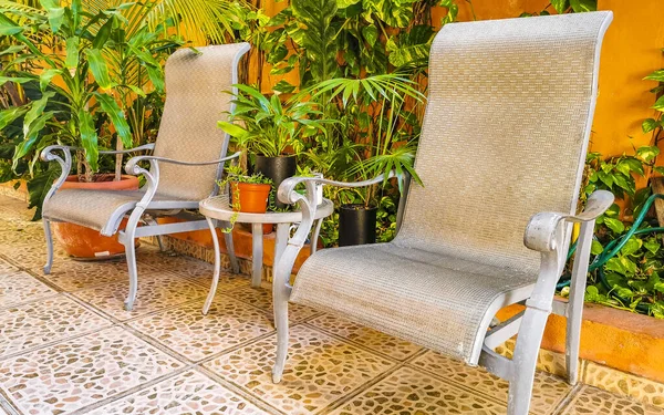 Royal silver chairs in tropical exotic garden in Playa del Carmen Quintana Roo Mexico.