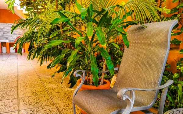 Royal silver chairs in tropical exotic garden in Playa del Carmen Quintana Roo Mexico.