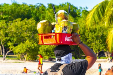 Playa del Carmen Quintana Roo Meksika 03. Mayıs 2023 Hindistan cevizli, Playa del Carmen Quintana Roo Meksika 'da hindistan cevizi sepetli plaj satıcısı..