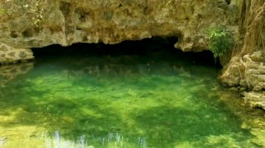 Güzel Cenote Park Yaxmuul Yax-Muul kireç taşı kayaları turkuaz mavi yeşil su ve Tulum Quintana Roo Meksika 'da doğa ormanı..