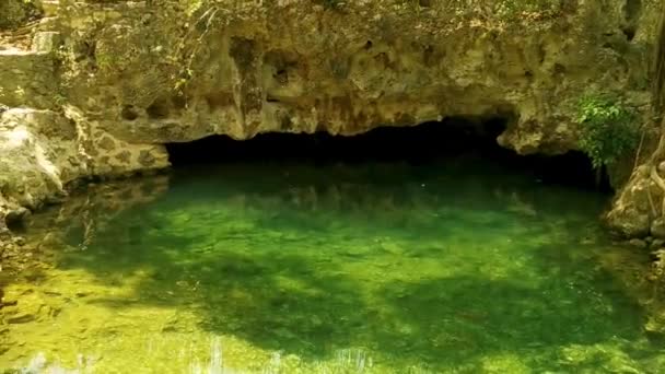 Hermoso Cenote Park Yaxmuul Yax Muul Con Rocas Piedra Caliza — Vídeo de stock