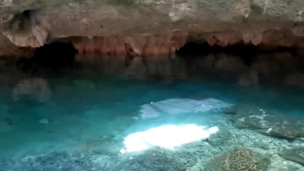 Vacker Cenote Park Yaxmuul Yax Muul Med Kalksten Stenar Turkos — Stockvideo
