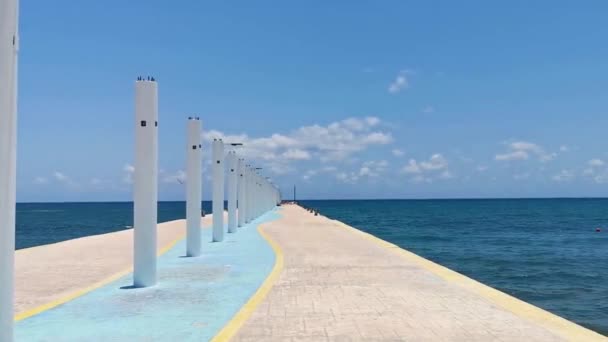 Paisaje Costero Caribeño Tropical Mexicano Muelle Constituyentes Con Piedras Corales — Vídeos de Stock