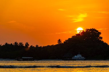 Tropik cennet adası Kuramathi. Palmiye ağaçları, turkuaz sular ve Rasdhoo Atoll Maldivleri 'nde muhteşem altın renkli günbatımı olan lüks bir tatil için..