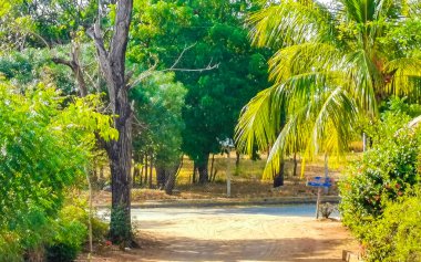 Puerto Escondido Oaxaca Meksika 20. Ocak 2023 Tipik güzel turist caddesi yolu ve şehir arabalarıyla kaldırım oteller, restoranlar ve Zicatela Mexico 'daki insanlar..