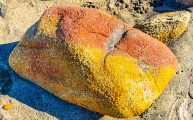 Zicatela Puerto Escondido Oaxaca 'da Sahildeki Sarı Turuncu Kırmızı Taş Kaya.