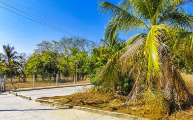 Puerto Escondido Oaxaca Meksika 01. Şubat 2023 Tipik güzel turistik cadde yolu ve şehir arabalarıyla kaldırım oteller, restoranlar ve Zicatela Mexico 'daki insanlar..