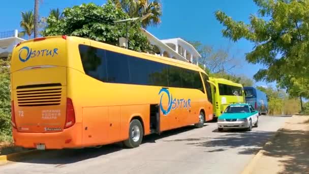 Puerto Escondido Oaxaca Mexiko Mars 2023 Olika Färgglada Bussar Resa — Stockvideo