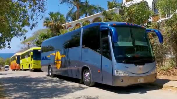 Puerto Escondido Oaxaca Mexiko März 2023 Verschiedene Bunte Busse Reisen — Stockvideo