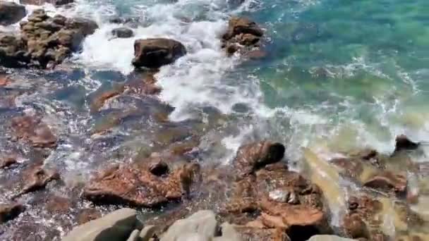 Beach Sand Turquoise Blue Water Rocks Cliffs Boulders Palm Trees — Stock Video