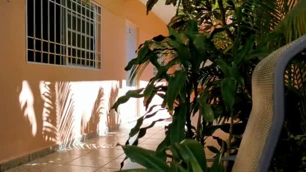 Royal Silver Chairs Tropical Exotic Garden Playa Del Carmen Quintana — Stock Video