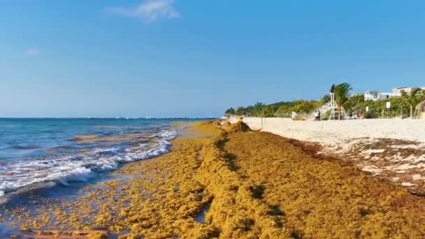 Playa Del Carmen Quintana Roo Mexico Берег Карибського Моря Був — стокове відео