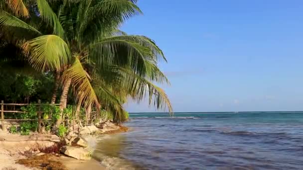 Sentiero Legno Sentiero Recinzione Legno Presso Spiaggia Dei Caraibi Natura — Video Stock