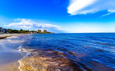 Playa del Carmen Meksika 'da turkuvaz mavisi berrak sulara sahip tropik Meksika Karayip sahili manzarası..