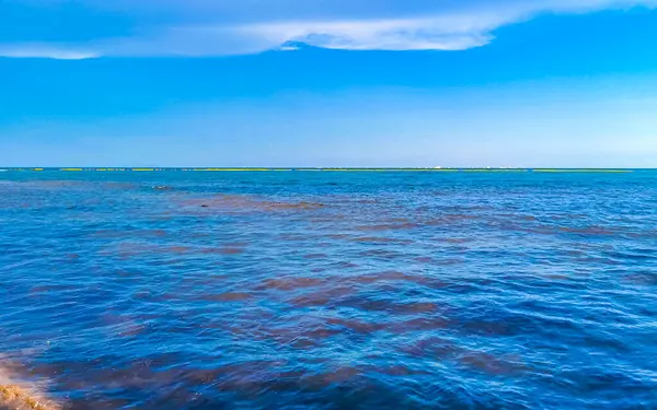 Tropické Mexické Karibské Pláže Krajina Panorama Jasnou Tyrkysově Modré Vody — Stock fotografie