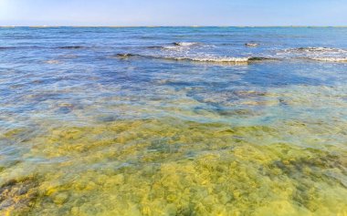 Playa del Carmen Quintana Roo Meksika sahilindeki turkuaz yeşil ve mavi sularda kayalar ve mercanlar..