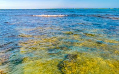 Playa del Carmen Quintana Roo Meksika sahilindeki turkuaz yeşil ve mavi sularda kayalar ve mercanlar..