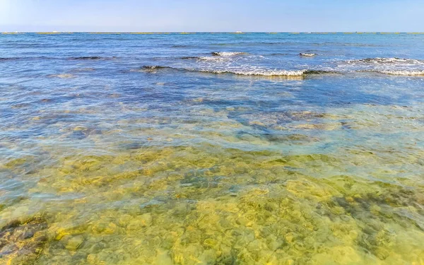 Playa del Carmen Quintana Roo Meksika sahilindeki turkuaz yeşil ve mavi sularda kayalar ve mercanlar..